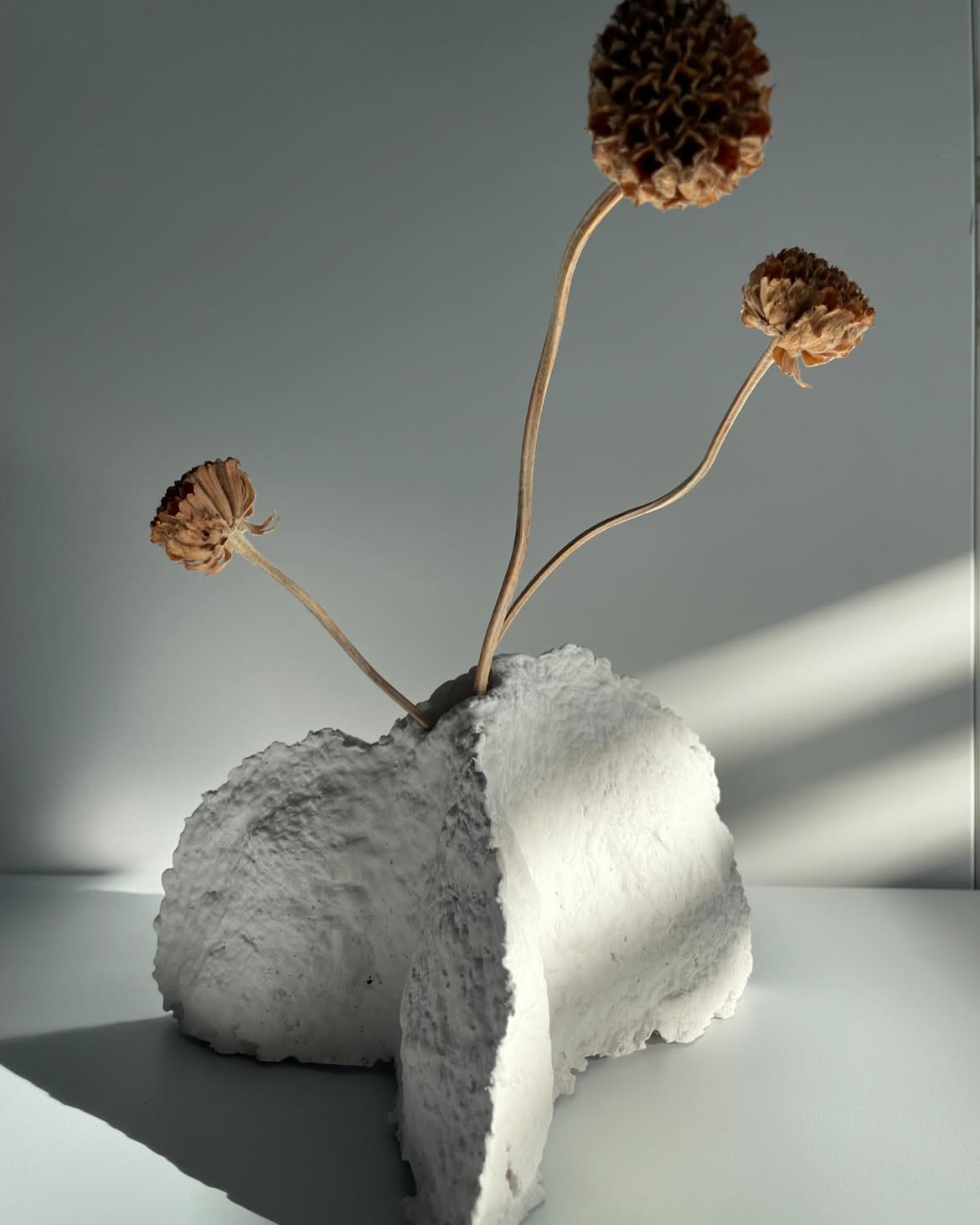 Vase blanc sculptural avec des tiges séchées et une ombre oblique